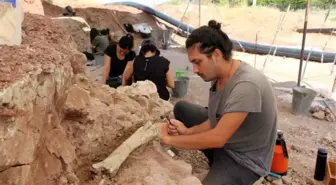 Çankırı gündem haberi... ÇANKIRI'DA BULUNAN HAYVAN FOSİLİ SAYISI 4 BİNE ULAŞTI