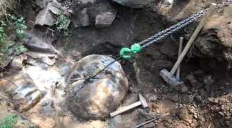 Ordu'da defineciler fındık bahçesinde yakalandı