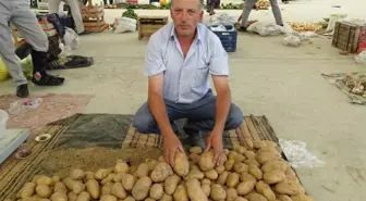 Yerli patates çıktı fiyatlar yine düşmedi