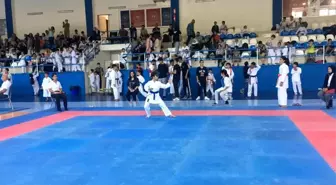 Çocuk evlerinde kalan çocuklar karate turnuvasından başarıyla döndü