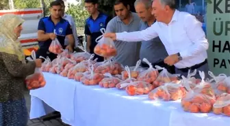 Denizli haber | Honaz Belediyesi ata tohumundan yetiştirilen domatesleri halka ücretsiz dağıttı