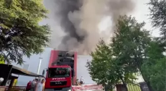 Uşak'ta fabrikada çıkan yangına müdahale ediliyor