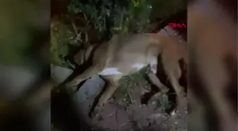 'HAVRİTA'YA BU KEZ 'EKSTRA TEHLİKE'DEN ERİŞİM ENGELİ