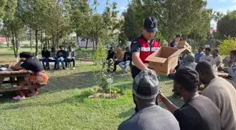 İzmir haberleri: İzmir'de 446 Kaçak Göçmen Yakalandı