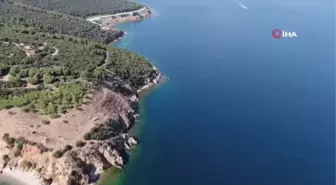 Büyükada'da 'dalyan' dolandırıcılığı