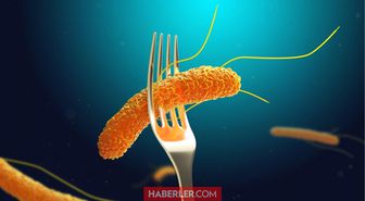 Salmonella bakterisi nedir, nasıl bulaşır? Salmonella neden olur?