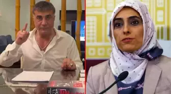 Sedat Peker'in rüşvet iddiaları sonrası AK Parti Erzurum Milletvekili Zehra Taşkesenlioğlu'ndan ilk açıklama