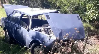 Ağaçlık alana uçan otomobilin sürücüsü yaralandı