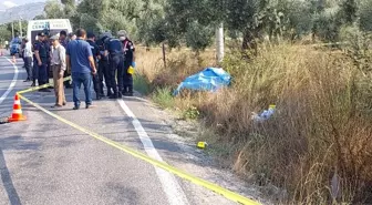 Son dakika haber: Akşam eve dönmedi, yol kenarında ölü bulundu