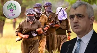 HDP'li Ömer Faruk Gergerlioğlu: PKK'nın mutlak suretle silahı bırakması gerekiyor