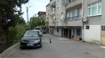 MALTEPE'DE TARTIŞTIĞI EŞİNİ BIÇAKLA AĞIR YARALADI