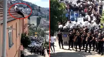 Tokatköy'de tansiyon yüksek! Kentsel dönüşüm için yüzlerce polis mahalleye geldi, vatandaş çatılara çıktı