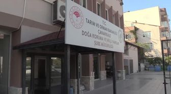Gökçeada'da yaralı bulunan caretta caretta tedaviye alındı