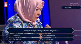 (Hangisi maydanozgillerden değildir?) Kim Milyoner Olmak İster 2 Eylül Soru Cevabı Nedir? Kim Milyoner Olmak İster 200 Bin TL'lik soru!