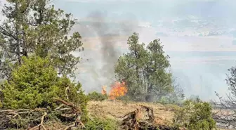 Son dakika haberi! Refahiye'de ormanlık alanda yangın