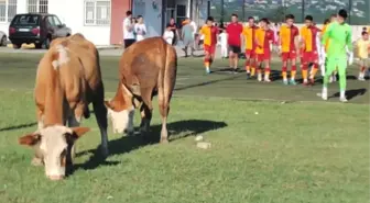 Türkiye Futbol Federasyonu, Rezerv Lig'i iptal etti! Akıllarda tek bir kare kaldı