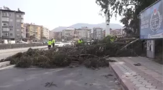 Devrilen ağacın altında kalan motosikletteki 2 kişi yaralandı