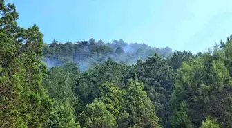 Isparta haberleri... Isparta Senirkent'te çıkan orman yangını kontrol altına alındı