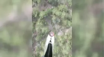 Isparta'da ormanlık alanda çıkan yangına müdahale ediliyor