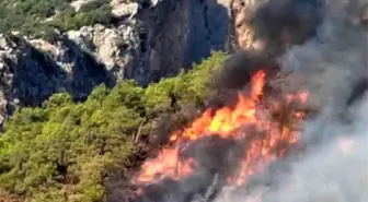 Adrasan'daki orman yangını kontrol altına alındı