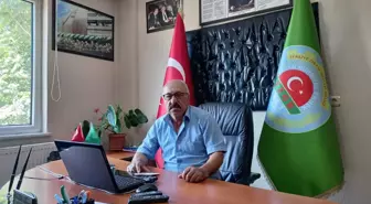 Denizli gündem haberi... Çivril'de badem hasadına başlandı