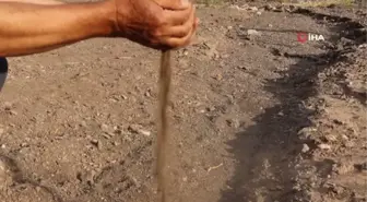 Sakarya gündem haberleri... Söğütlü derenin mineralli kumlarında şifa arıyorlar