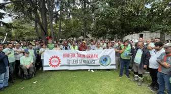 İBB Ağaç ve Peyzaj AŞ işçilerinden 'düşük maaş' protestosu: Açlık sınırının altında maaş alıyoruz