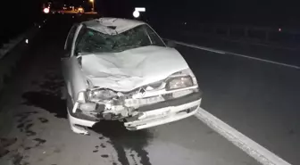 Sinop gündem haberleri: Sinop'ta otomobilin ineklere çarpması sonucu bir kişi yaralandı