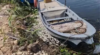 Son dakika haberi | HATAY'DA ASİ NEHRİ'NDE TOPLU BALIK ÖLÜMLERİ