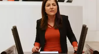 Hdp'li Gülüm'den Bakan Özer'e: 'Sefalet Ücretine Mahkûm Edilen Özel Sektör Öğretmenleri Nasıl Geçinecek'