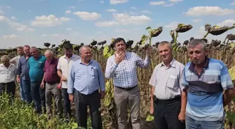 Edirne haberleri: CHP Edirne Milletvekili Gaytancıoğlu: 'Çiftçi Tarladayken Gümrük Vergisi Sıfırlanır Mı?'