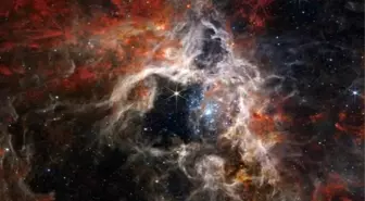 James Webb Teleskobu, Tarantula Nebulası'nı Görüntüledi