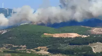 Manisa Soma'da bir orman yangını daha çıktı