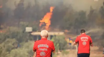 Mersin yerel: Mersin Büyükşehir İtfaiyesi, 19 Araçla Gülnar Yangınına Müdahale Ediyor