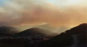 Mersin'de çıkan orman yangınına müdahale ediliyor