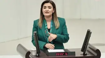 Şanlıurfa haberleri! Sevda Erdan Kılıç, Karaburun'da MHP İlçe Başkanı'nı Tutuklatan Savcı ve Eşinin Şanlıurfa'ya Sürüldüğü İddiasını Meclis Gündemine Taşıdı