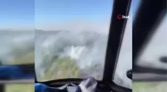 Alanya'da orman yangını