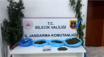 Son dakika haberleri | Bilecik'te uyuşturucu operasyonunda 2 gözaltı