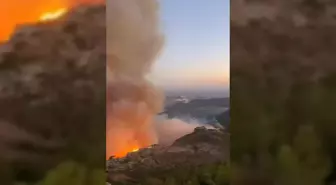 Son dakika haberi... Mersin Antalya Karayolu Yangın Nedeniyle Ulaşıma Kapatıldı