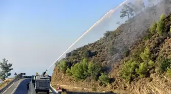 Son dakika haber! Mersin'de orman yangını, 2'nci gününde kontrol altında (3)