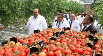 Tarım Kredi kurmayları termal seralara hayran kaldı