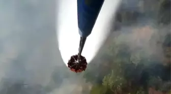 Muğla-Denizli il sınırındaki orman yangını devam ediyor