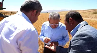 Başkan Büyükkılıç biçerdöverle aspir hasadı yaptı