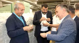 Diyarbakır haber: Diyarbakır'da yılsonuna kadar 60 yeni tesis tamamlanacak