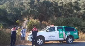Son dakika haberi! Köpeği ağaca asarak öldüren şüpheli 6 ay sonra yakalandı, serbest bırakıldı
