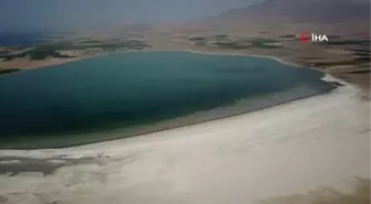 Kuş cenneti Arin Gölü'nde tehlike çanları