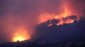 Son dakika haberi! Muğla-Denizli il sınırında orman yangını