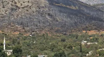 Son dakika haberi! Mersin'deki orman yangınında küle dönen bölge böyle görüntülendi