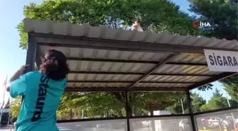 Son dakika haberi | Sigara içme alanı çatısında mahsur kalan kediyi hastane personeli kurtardı