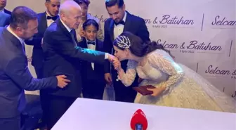 Bahçeli'nin nikah şahidi olduğu düğünde salon tıka basa doldu! Geline altın bilezik taktı